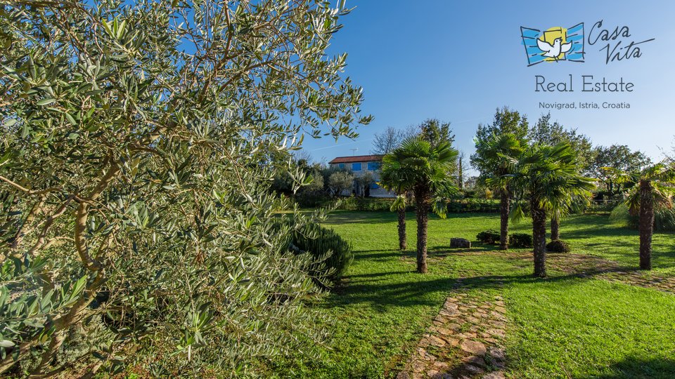 Bellissima villa in pietra con tre unità abitative, grande piscina e ampio giardino!