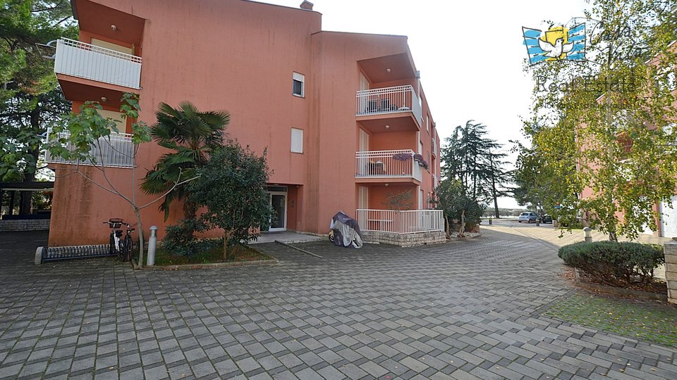Apartment, 52 m2, For Sale, Novigrad
