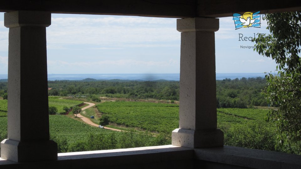 Istrian property with a beautiful view of the sea and vineyards!