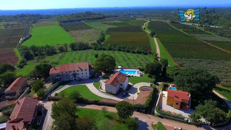 Istrian property with a beautiful view of the sea and vineyards!
