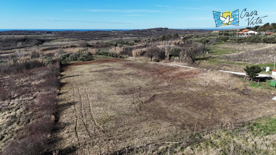 Land, 1000 m2, For Sale, Buje