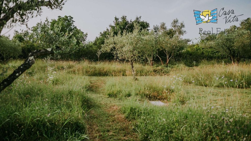 Edificio residenziale di 7 vani e una casetta più piccola