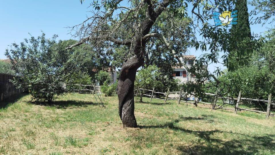 Istarska kamena kuća sa prostranom  okućnicom!