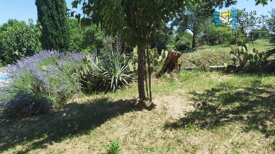 Istrisches Steinhaus mit großem Garten!