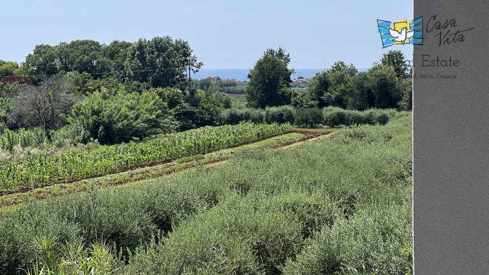 Appartamento a Cittanova in costruzione!