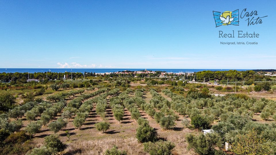 Predivna kuća sa panoramskim pogledom na more i grad Novigrad- 500m od mora!